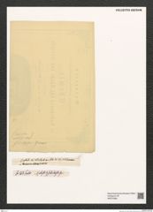 Diatomeae indet. Zeichnungen Sammlung Grunow (NHMW-BOT-W0375368)